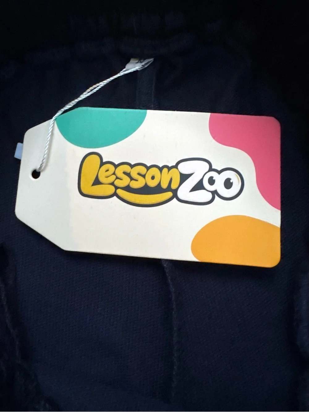 Lesson Zoo lesson zoo